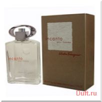 парфюмерия, парфюм, туалетная вода, духи Salvatore Ferragamo Incanto pour Homme